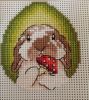 IMG_20220422_182512.thumb.jpg.8635b61ec8ecb8b409537738f4adc67e.jpg