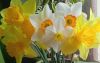 IMG_20220425_072506.thumb.jpg.d82385c738a13923b7c5926564470959.jpg