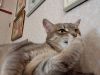 IMG_20220425_121549.thumb.jpg.70a041e2f1cd7826051deaab5add8474.jpg