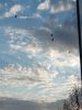 IMG_20220426_190621.thumb.jpg.97875038da5721d57717da9fee00ff22.jpg