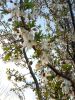 IMG_20220426_191453.thumb.jpg.6c4ea734f677b4709f839c7200351969.jpg