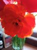 IMG_20220501_144359.thumb.jpg.0537b0fdb978be22ec4c6ee34611bed4.jpg