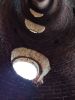 IMG_20220502_114842.thumb.jpg.a33b2547e2de59c669bad5411c7d2326.jpg