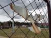 IMG_20220502_143647.thumb.jpg.4bf6f3139065b0b7af83a052cf1e8a9b.jpg