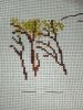 IMG_20220502_203326_1.thumb.jpg.67c7609771f6cebf1675181dd5a94f12.jpg