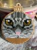 IMG_20220502_222543.thumb.jpg.aa82485d15db43bd26a6902073e1c10c.jpg