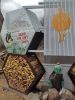 IMG_20220503_122929.thumb.jpg.d00dcc59ac113e53849a45550a69188f.jpg