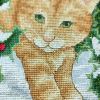 IMG_20220503_223403.thumb.jpg.06ed1e04bdbe288cc884daa49faf7942.jpg