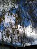 IMG_20220504_171217.thumb.jpg.406bebd341ce671f55423aee5244c4f6.jpg