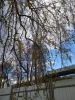 IMG_20220504_171241.thumb.jpg.eb823b5d4393e6a3b661c8179a747d7b.jpg
