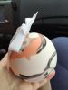 IMG_20220505_133006.thumb.jpg.316ae809ff5f40966ca504106bc6782b.jpg