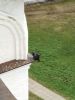 IMG_20220507_143757.thumb.jpg.bb75661a95cb8500b1c02a9dbc452327.jpg