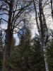 IMG_20220507_191406.thumb.jpg.6ee2de99458e5e7517488389214763db.jpg