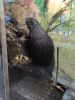 IMG_20220508_144216.thumb.jpg.5397bf49d0698931f060ac4ebd557fde.jpg