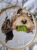 IMG_20220510_131104.thumb.jpg.3b08d7da46c77b574ed711c54739dda9.jpg?1652625954593