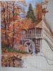 IMG_20220511_093445.thumb.jpg.cb3efa78e205b1681bd5054bd3eca225.jpg