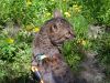 IMG_20220514_105603.thumb.jpg.687a734117e5c696440b9a3d6de3b7b0.jpg