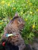 IMG_20220514_105615.thumb.jpg.bd1ee00cae1adf97d1b1997138a1038d.jpg