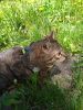 IMG_20220514_105621.thumb.jpg.992684870f6794abe788b458d9cdd071.jpg