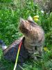 IMG_20220514_105956.thumb.jpg.08bd442bfc04e41b18b71eacd38072c9.jpg