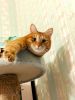 IMG_20220517_003353.thumb.jpg.dd728c3b044e898b8045fbb2ed1a57a8.jpg