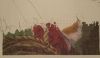 IMG_20220517_232011.thumb.jpg.b7a9fdc9669e93ebcddb2ecedb43b0e7.jpg