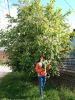 IMG_20220522_170201.thumb.jpg.f36a5129d3e4a8d44d77a81a227dbc9d.jpg