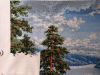 IMG_20220524_232644.thumb.jpg.0367ba7f7287d53db28421469c0cd795.jpg