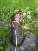 IMG_20220527_101740_1.thumb.jpg.4cc15d04158cda71ce869b0e0e54dcf0.jpg