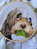 IMG_20220527_135517.thumb.jpg.120b0c7ce016c9e3436c20646446122a.jpg?1653671647708