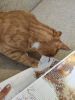 IMG_20220527_191641.thumb.jpg.fbe1ccf1ca083dc32b97186fa3d29554.jpg