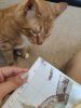 IMG_20220527_191647.thumb.jpg.999d649fedf74f98cc0801c9ac1f658a.jpg