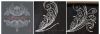 IMG_20220531_011626.thumb.jpg.6b72aec129866b600266afacb035fecd.jpg