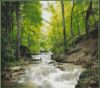 forest-stream-by-irochka-1.thumb.jpg.ee0bcedce8f2f2c7dec530cb5676be5c.jpg