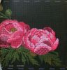 peonies_6.jpg.b6fc30e83bc749f1942df387fb2a9be7.thumb.jpg.c714ce6cd31f4bd03bba18bc504d75a8.jpg