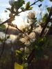 photo_2022-05-19_14-10-13.thumb.jpg.c7b1544516d428a9b01b687bde734613.jpg