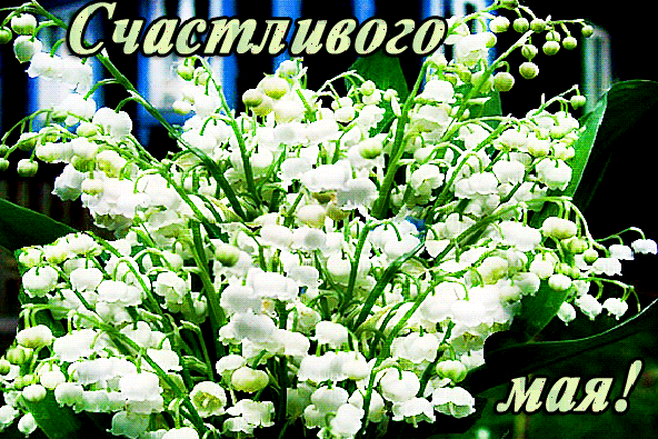 schastlivogo-maya.thumb.gif.f0d04b212733c6569039af32427f311b.gif