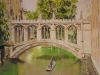 the-bridge-of-sighs-cambridge-ii-james-shand.thumb.jpeg.7f7a87a46613a9daf68ce33d01b2094a.jpeg