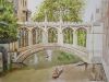 the-bridge-of-sighs-stjohns-college-university-of-cambridge-james-shand.thumb.jpeg.f296a3508641d76a91becbad6521baf7.jpeg