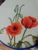 0AE9F3AB-654B-458A-A92F-0FDFEA0CBCA7.thumb.jpeg.822bf1db7d3aa6d454da703f4343fd9a.jpeg