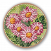 Маргаритка 1 нить пяльцы.png