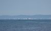 1092128307_DSC_8040(2).thumb.jpg.89011fe030f49540b93eddeb3777eb8f.jpg