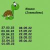 1170601417_8.thumb.jpeg.3f01e1b33cba36b6086ccbc8b7a5dfd6.jpeg