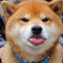 KateRogue