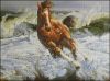 14097.thumb.jpg.ee09c5bcace27ec3a66fa46f3cdebe24.jpg