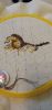 1497F32F-A2E7-4134-8A25-5D30B3A1BCD3.thumb.jpeg.1000961eb3b82ac7442a2225c276cae9.jpeg