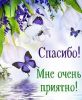 1627591587_.thumb.jpg.166fefa5087015fb6919cd76bd6b7e5e.jpg