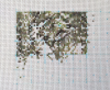 1821649431_.thumb.png.e35bc30922f4c72ee2513aabc06bf351.png