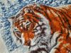 20220521_141607.thumb.jpg.8c21ed297b535b083a6badb134c44a72.jpg