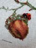 20220531_143516.thumb.jpg.72d20a98ba3edea1cbd6207f51c9f616.jpg